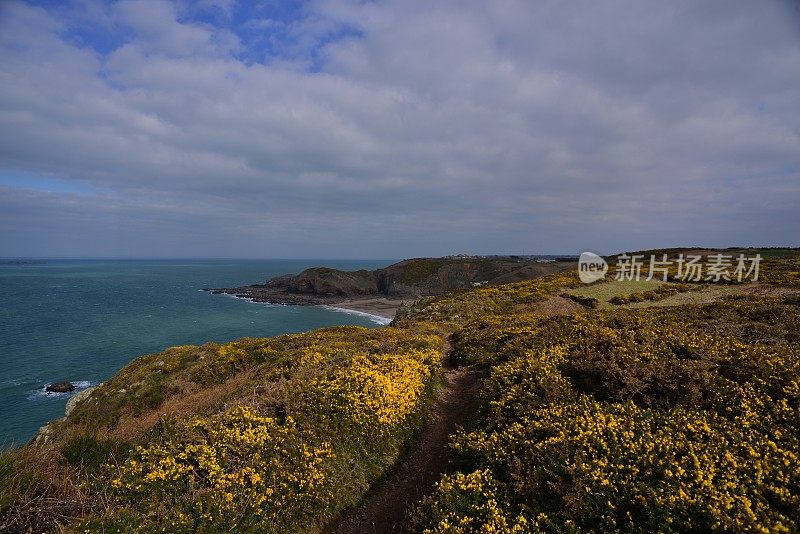 Les Landes和Plemont，泽西岛，英国